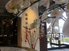 -王德传茶庄(上海新天地店)