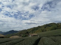 -优游吧斯邹族文化部落