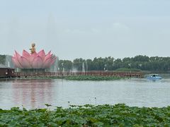-白洋淀景区