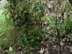 -故乡缘·香格里拉山庄(冷竹路店)