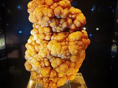 -中国地质大学逸夫博物馆