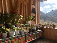 -四姑娘山阿巴郎·藏式花园餐厅