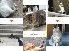 -西园寺