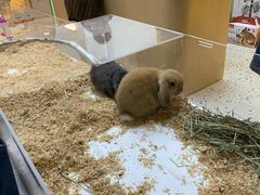 -海底捞火锅(杭州萧山宝龙广场店)