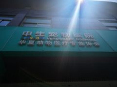 -瑞派申生动物医院·24H夜诊·国际动物医疗中心·骨外科(吴中路店)