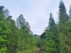 -云溪植物园