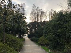 -水上明月·湖景餐厅