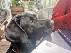 -满记甜品(大悦城店)