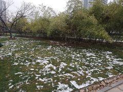 -天鹅湖体育公园