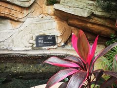 -海口观澜湖火山温泉谷