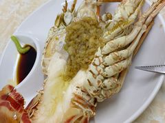 -强记龙虾钳(定安里店)