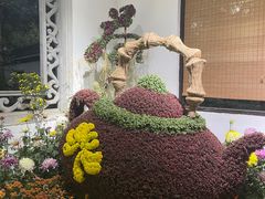 -杭州植物园