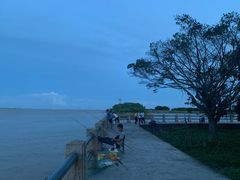 -大湾区中央湿地公园-十九涌