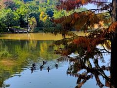 -神光山国家森林公园