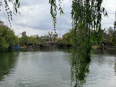 -翠湖公园