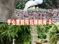 -福建鲤鱼洲酒店