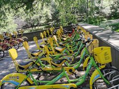 -长白岛森林公园