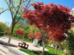 -西海子公园