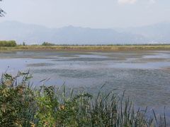 景点-野鸭湖国家湿地公园