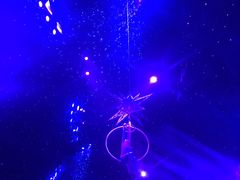 -珠海横琴长隆《卡卡虎奇遇记》