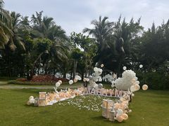-三亚海棠湾喜来登度假酒店