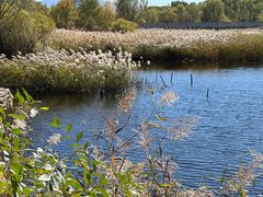 -野鸭湖国家湿地公园