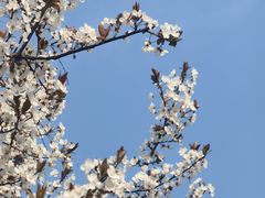 -天鹅湖体育公园