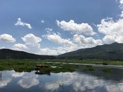 景点-腾冲北海湿地