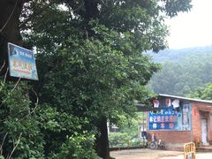 -火炉山森林公园