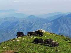 -灵山