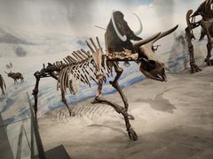 -辽宁古生物博物馆