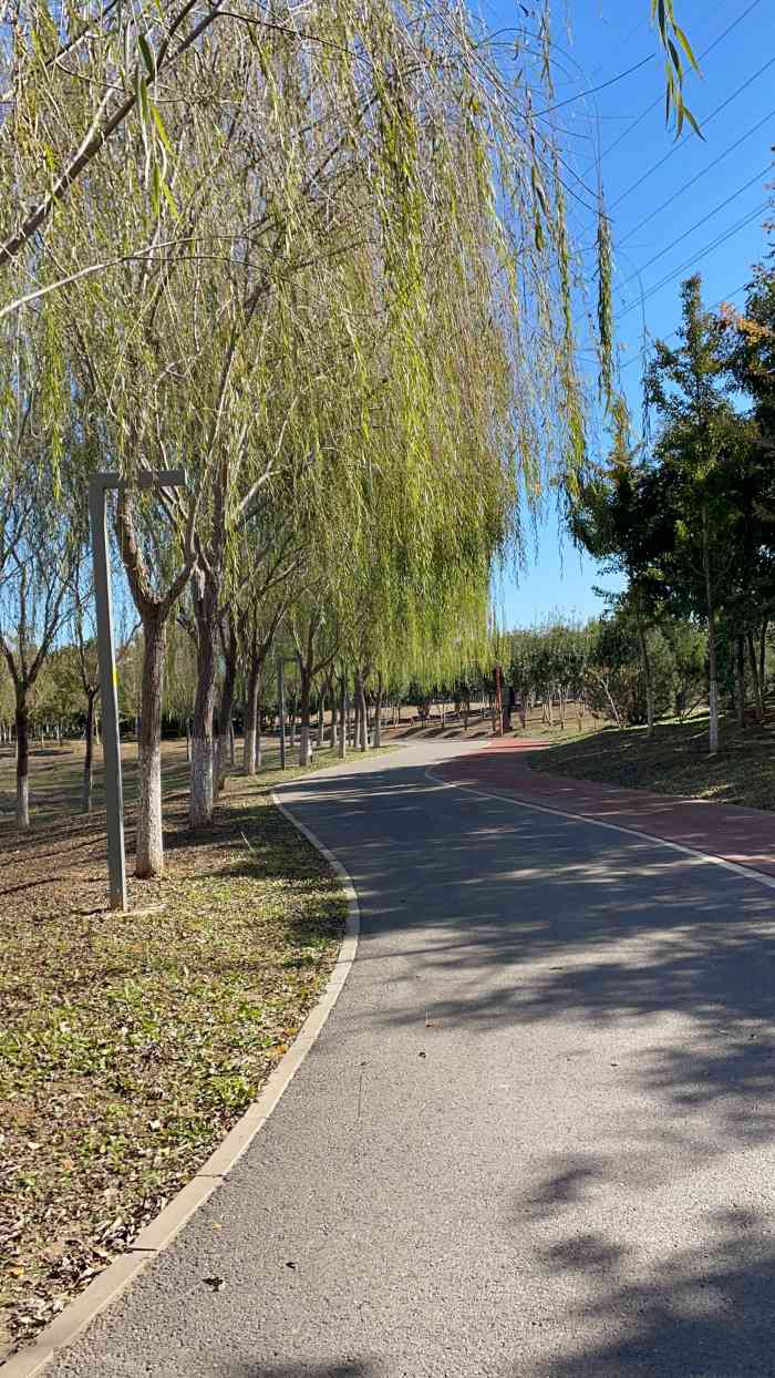 平谷湿地公园-"来平谷税务办事,中午的时间不办公,便在大.