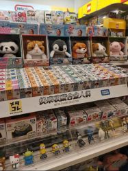 -kidsland(上海环球港店)