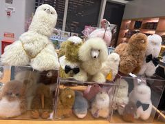 -朵云书院(滴水湖店)