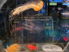 -沈阳海洋探索中心