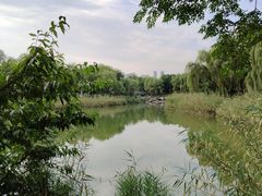 -唐城墙遗址公园