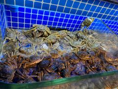 -芭菲盛宴·环球美食(北城国际店)