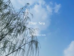 -官亭林海