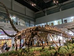 -自贡恐龙博物馆