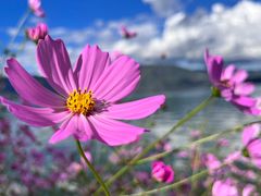 -丽江泸沽湖景区