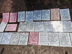 -人民公园-相亲角