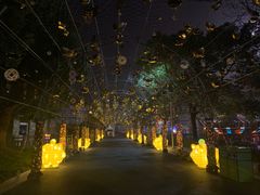 -锦江乐园舞狸花花游园会(夜场专享)