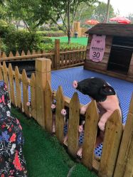 -萌宠亲子动物乐园(槐房万达店)