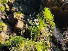 -湖洞水自然风景区