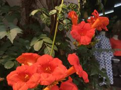 -煎饼道·新鲜现做(桐梓林店)