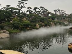 -罗红摄影艺术馆