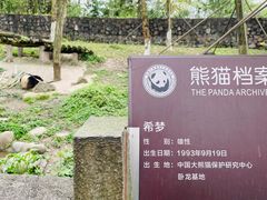 -都江堰中华大熊猫苑