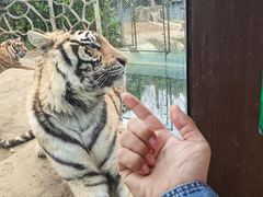 -常州淹城野生动物世界
