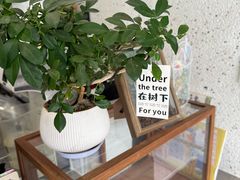 -北芒BEIMO COFFEE(五台山店)