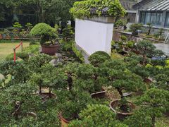 -水绘园